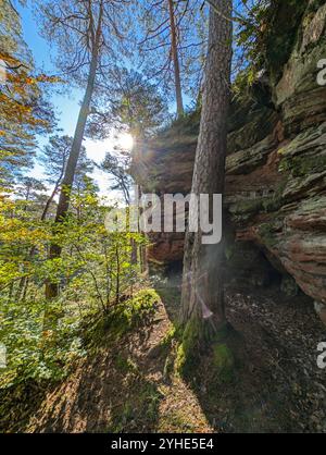 Le soleil brille à travers les arbres sur les rochers de grès sur le chemin rocheux dans le Dahnerfelsenland dans la forêt du Palatinat Banque D'Images