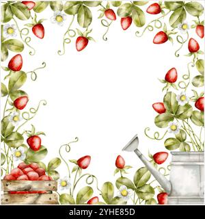 Cadre aquarelle dessiné à la main avec des arbustes à fraises, boîte en bois de fraises et arrosoir. Récolte des fraises. Dessins animés baies illustratio Illustration de Vecteur