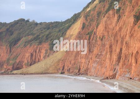 Énorme falaise de grès chute à Jacob's Ladder Beach octobre 2024, Sidmouth, East Devon, Angleterre, Royaume-Uni Banque D'Images