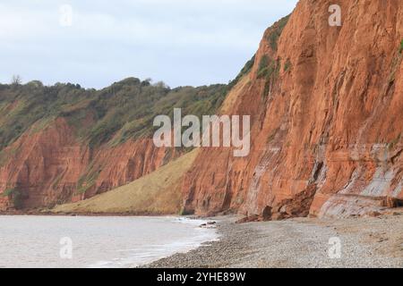 Énorme falaise de grès chute à Jacob's Ladder Beach octobre 2024, Sidmouth, East Devon, Angleterre, Royaume-Uni Banque D'Images