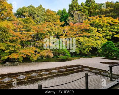 Automne au temple de Tenju-an, japon : un jardin serein avec un feuillage d'érable vibrant et une architecture japonaise traditionnelle Banque D'Images