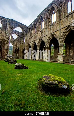 À l'intérieur des ruines de l'église autrefois majestueuse de l'abbaye de Tintern au pays de Galles Banque D'Images