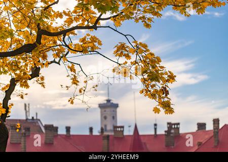 Vue sur Lviv à travers le papier peint des feuilles d'automne Banque D'Images