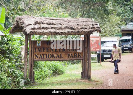 L'entrée du parc national impénétrable de Bwindi, en Ouganda, est la porte d'entrée pour explorer la forêt impénétrable montagneuse de Bwindi dans le Rift Albertin. Banque D'Images