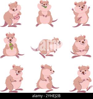 Drôle de quokka. Mignon quokka moelleux dans différentes poses, manger sauter la feuille de maintien et embrasser bébé. Petit animal australien, de nos jours personnages vectoriels Illustration de Vecteur