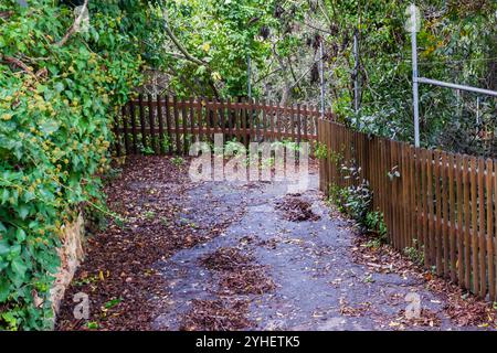 Un sentier pittoresque bordé par une clôture en bois, entouré d'un feuillage vert luxuriant. Le chemin est couvert de feuilles tombées. Banque D'Images