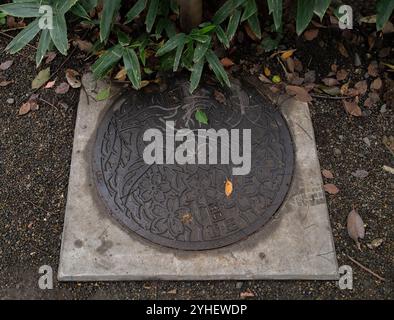 Cette couverture de trou d'homme est située parmi la beauté des jardins Hamarikyu à Tokyo au Japon Banque D'Images