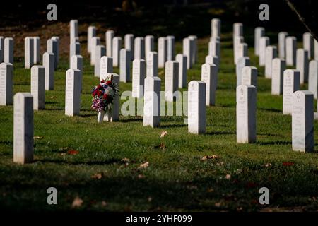 Arlington, Virginie, États-Unis. 11 novembre 2024. Les fleurs reposent contre une pierre tombale le lundi 11 novembre 2024, jour des anciens combattants au cimetière national d'Arlington, en Virginie. Crédit : Bonnie Cash/Pool via CNP/MediaPunch crédit : MediaPunch Inc/Alamy Live News Banque D'Images