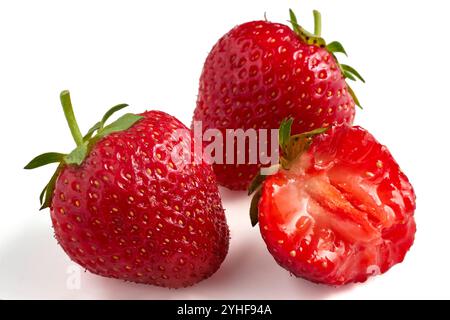 fraises juteuses mûres isolées sur fond blanc. deux baies entières et une mordue Banque D'Images