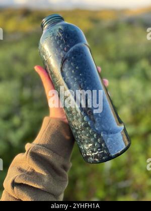 Cueillette de bleuets dans une fiole, fruit unique local,un type de fruit dans une bouteille Banque D'Images