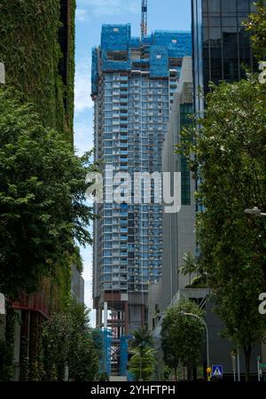 Nouvelle construction du développement résidentiel de luxe de One Bernam dans le quartier des affaires du centre-ville de Singapour encadré par des arbres et des bâtiments vivants. Banque D'Images