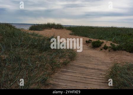 Une promenade en bois serpente à travers des dunes herbeuses, menant à la plage sous un ciel couvert, capturant la beauté sereine et rustique d'un lan côtier Banque D'Images