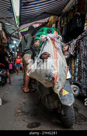 Un homme transporte un sac d'oiseaux sur sa moto à travers un marché de rue animé à Hanoi, capturant le contraste de la vie urbaine et du commerce des animaux. Banque D'Images