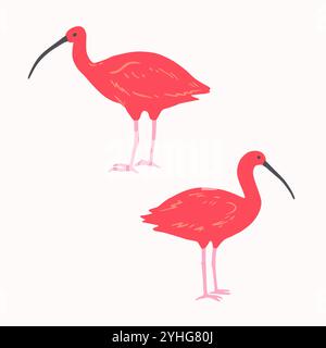 Ensemble ibis rouge dans un style minimaliste. Illustration vectorielle. Illustration de Vecteur