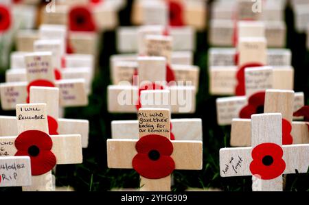 Londres, le jour du souvenir est observé pour se souvenir des sacrifices consentis par les soldats pendant la première Guerre mondiale. 11 novembre 1918. Des pétales et des croix de pavot sont vus au champ du souvenir de l'abbaye de Westminster à l'occasion du jour du souvenir à Londres, Grande-Bretagne, le 11 novembre 2024. Le jour du souvenir est observé pour se souvenir des sacrifices faits par les soldats pendant la première Guerre mondiale, qui a pris fin le 11 novembre 1918. Crédit : Li Ying/Xinhua/Alamy Live News Banque D'Images