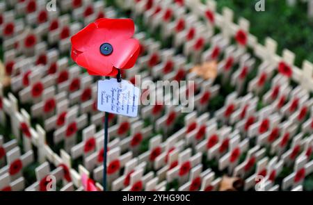 Londres, le jour du souvenir est observé pour se souvenir des sacrifices consentis par les soldats pendant la première Guerre mondiale. 11 novembre 1918. Des pétales et des croix de pavot sont vus au champ du souvenir de l'abbaye de Westminster à l'occasion du jour du souvenir à Londres, Grande-Bretagne, le 11 novembre 2024. Le jour du souvenir est observé pour se souvenir des sacrifices faits par les soldats pendant la première Guerre mondiale, qui a pris fin le 11 novembre 1918. Crédit : Li Ying/Xinhua/Alamy Live News Banque D'Images