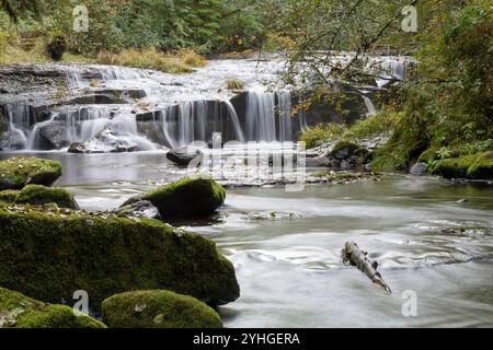 Une petite cascade se déversant sur un rebord rocheux le long de Sweet Creek. Forêt nationale de Siuslaw, Oregon Banque D'Images