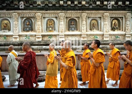 Les moines chantent, alors qu'ils font la queue pour entrer dans le sanctuaire de la chambre sainte où la statue sacrée du Bouddha d'or est située à Mahabodhi Mahavihara à Bodh Gaya, Bihar, Inde. Banque D'Images