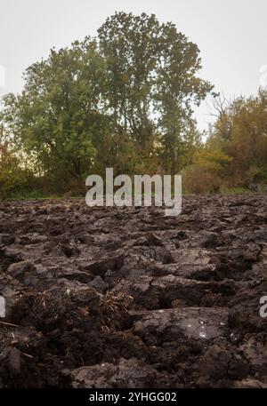 terre labourée dans le champ en automne Banque D'Images