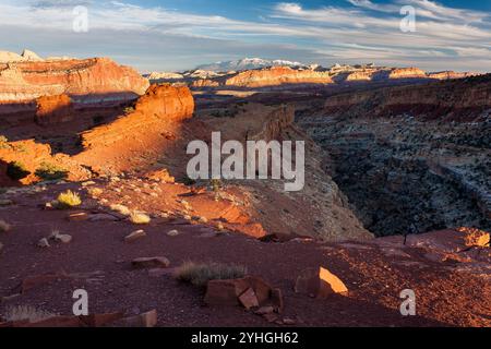 Les falaises de grès du waterpocket fold de Capitol Reef National Park, Utah brille la lumière chaude de Sunset Point. Banque D'Images