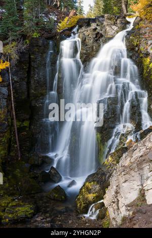 Les couleurs d'automne poussent le long des chutes de Kings Creek. Parc national volcanique de Lassen, Californie Banque D'Images