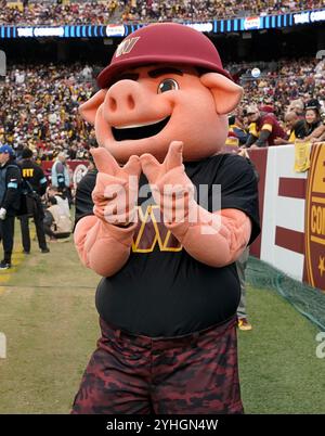 Landover, Maryland, États-Unis. 10 novembre 2024. 10 novembre 2024 : Major Tuddy lors des Washington Commanders vs Pittsburgh Steelers au Northwest Stadium de Landover MD. Brook Ward/apparent Media Group (crédit image : © AMG/AMG via ZUMA Press Wire) USAGE ÉDITORIAL SEULEMENT! Non destiné à UN USAGE commercial ! Banque D'Images