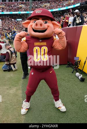 Landover, Maryland, États-Unis. 10 novembre 2024. 10 novembre 2024 : Major Tuddy lors des Washington Commanders vs Pittsburgh Steelers au Northwest Stadium de Landover MD. Brook Ward/apparent Media Group (crédit image : © AMG/AMG via ZUMA Press Wire) USAGE ÉDITORIAL SEULEMENT! Non destiné à UN USAGE commercial ! Banque D'Images