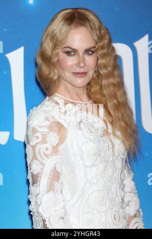 New York, New York, États-Unis. 11 novembre 2024. Nicole Kidman assiste à la première de « Spellbound » au Plaza Hotel de New York. Crédit : Greg Allen/Alamy Live News. Banque D'Images