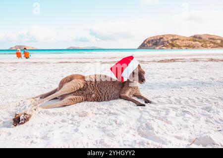 Un petit kangourou allongé sur la plage de sable blanc de Lucky Bay, portant un chapeau de Père Noël. Deux femmes sont assis derrière sur des chaises de plage orange, discutant en f Banque D'Images