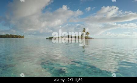 Une eau turquoise limpide jaillit doucement contre le rivage d'une plage de sable rose immaculée sur un motu à Tikehau, en Polynésie française, avec des palmiers luxuriants se balançant dans la brise sous un ciel nuageux Banque D'Images