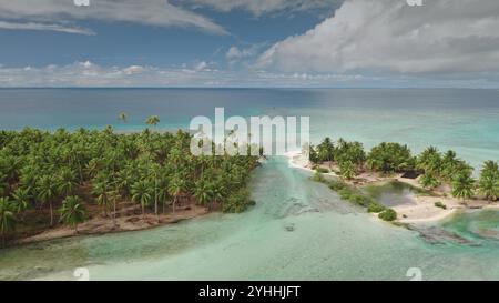 Vue aérienne des plages de sable rose et du lagon d'eau turquoise à Tikehau, Polynésie française. Cocotiers luxuriants sous un ciel bleu vif. Paradis sauvage isolé, voyage exotique d'été Banque D'Images