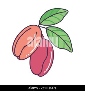 illustration vectorielle simple d'un fruit miracle, dans un style simple et propre, adapté aux thèmes de la nourriture et de la santé. illustration plate de fruits. Illustration de Vecteur