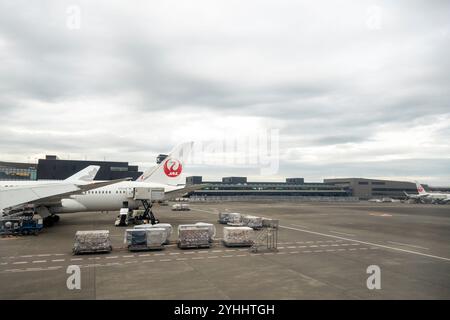 Japan Airlines Banque D'Images