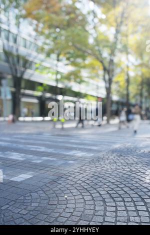 Marunouchi Naka-dori Avenue en fin d'automne après-midi Banque D'Images