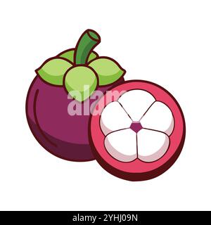 illustration vectorielle simple d'un mangoustan, dans un style simple et propre, adapté aux thèmes de l'alimentation et de la santé. illustration plate de fruits. Illustration de Vecteur