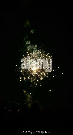 2024 feux d'artifice Banque D'Images