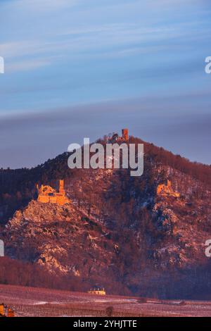 Catle ruines Château de Saint-Ulrich, Château du Girsberg et Château du Haut-Ribeaupierre près de Ribeauville, Alsace, France Banque D'Images