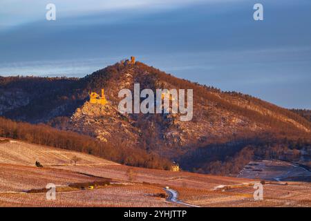 Catle ruines Château de Saint-Ulrich, Château du Girsberg et Château du Haut-Ribeaupierre près de Ribeauville, Alsace, France Banque D'Images