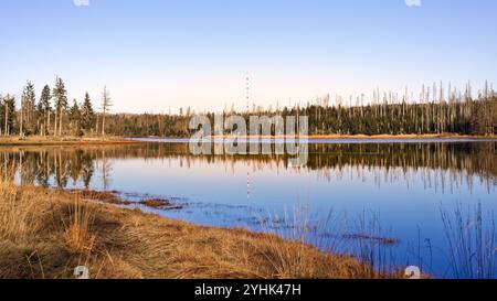 Lac dans la forêt des montagnes du Harz en Basse-Saxe, Allemagne. Réservoir d'eau historique d'Oderteich près de Sankt Andreasberg. Banque D'Images