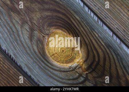 Gros plan d'un gros nœud sur une surface de planches de bois de pin altérée, Québec, Canada, Amérique du Nord Banque D'Images