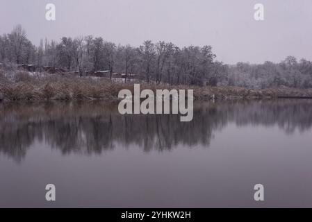 paysage d'hiver au bord du lac en arrière-plan arbres dans la neige. Banque D'Images