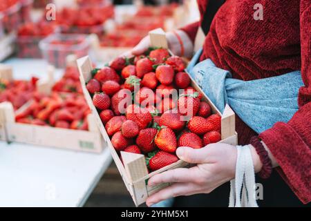 Acheter des baies sur le marché local. Gros plan, la main touche la fraise. Diverses baies en arrière-plan.. Banque D'Images