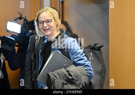 Erfurt, Allemagne. 12 novembre 2024. Katja Wolf (BSW) vient au parlement de Thuringe pour des négociations de coalition. Les dirigeants de la CDU, de la BSW et du SPD veulent examiner les résultats des groupes de travail et discuter des questions litigieuses. Crédit : Martin Schutt/dpa/Alamy Live News Banque D'Images