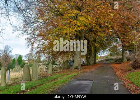 Arbres d'automne et tombes dans le vieux cimetière de Blackburn, Blackburn, Lancashire, Royaume-Uni Banque D'Images