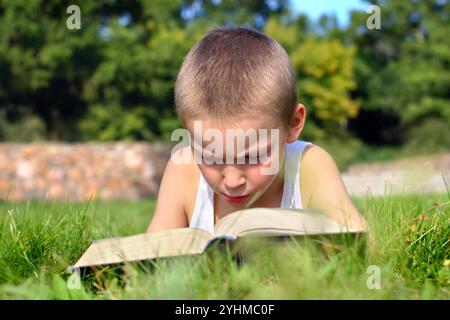 L'enfant lit attentivement le livre sur une prairie d'été Banque D'Images