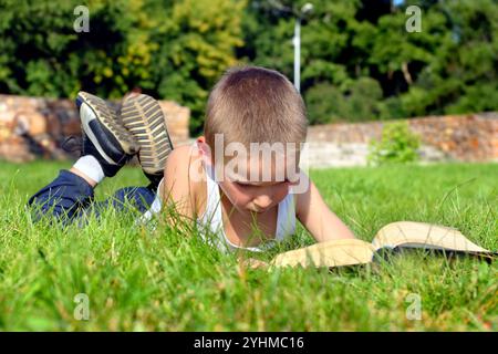 L'enfant lit attentivement le livre sur une prairie d'été Banque D'Images