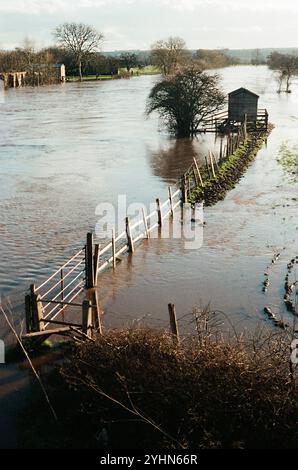 La rivière Wye a inondé pendant l'hiver 1990 près de Fownhope, Herefordshire, Angleterre Banque D'Images