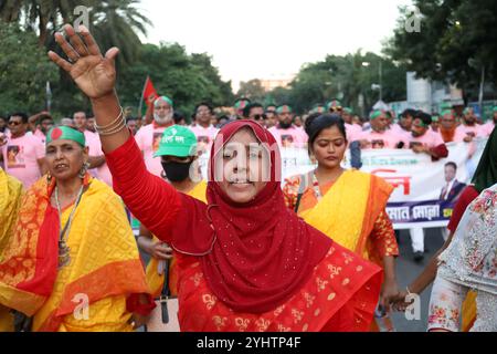 Dhaka, Bangladesh. 8 novembre 2024. Le Parti nationaliste du Bangladesh (BNP) a organisé un défilé haut en couleur à Dhaka, au Bangladesh, pour marquer l'historique Journée de la révolution nationale et de la solidarité. Des milliers de dirigeants et de militants ont participé à la procession avec différents types de pancartes et de banderoles. (Crédit image : © Syed Mahabubul Kader/ZUMA Press Wire) USAGE ÉDITORIAL SEULEMENT! Non destiné à UN USAGE commercial ! Banque D'Images
