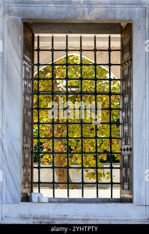 24/10/2024. La Mosquée bleue, Istanbul, Turquie. Vue de la cour à travers une branchie à un arbre d'automne à l'extérieur.. La Mosquée bleue, officiellement la Mosquée du Sultan Ahmed (en turc : Sultan Ahmet Camii), est une mosquée impériale historique de l'époque ottomane située à Istanbul, en Turquie. Elle a été construite entre 1609 et 1617 sous le règne d'Ahmed Ier et reste aujourd'hui une mosquée fonctionnelle. Il attire également un grand nombre de touristes et est l'un des monuments les plus emblématiques et populaires de l'architecture ottomane. La mosquée a une disposition ottomane classique avec un dôme central entouré de quatre demi-dômes au-dessus de t Banque D'Images