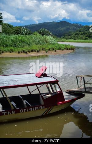 Croisière crocodile et faune en bateau dans la rivière Tarcoles Banque D'Images